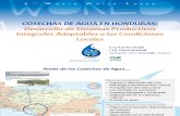 Cosechas de Agua en Honduras-espanol