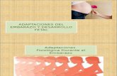 Adapctacion Fisiologica en El Embarazo - Copia