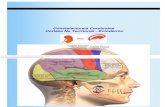 Nueva Medicina Constelaciones Cerebrales Corteza No Territorial