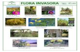 Flora Invasora
