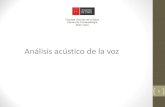 Analisis Acustico de La Voz 03 09