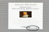 Spinoza Filosofia Práctica (2)
