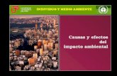Sesion VIII - Causas y Efectos Del Impacto Ambiental 27522