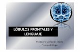 Sindrome Prefrontal y Lenguaje Magdaris