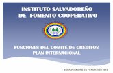 Funciones Del Comite de Creditos 18-Noviembre Del 2015 Plan Internacionl (002)