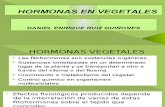 Hormonas en Vegetales