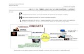 1.PNL Basico Para Electiva y Otros-BP-2011