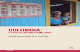 Informe Colombia Retos Humanitarios 2016 Cicr
