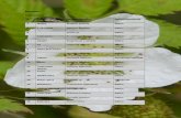 4.Lista de Plantas