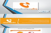 Servicios Aceleración y Financiamiento Para Startups - IncubatecUFRO 2016