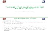 Curso Completo Yacimientos Naturalmente Fracturados-1.pdf
