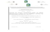 CAMACHO-ARREOLA. proyecto revisado.docx