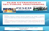 Plan Estratégico Sectorial Multianual 1