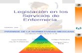 Legislacion en Enfermeria´Feb. 2009