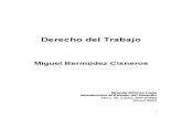 Derecho Del Trabajo Miguel Bermudez Cisneros Brend