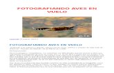 Fotografiando Aves en Vuelo-  Leopoldo de Castellví Kahno