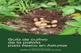 Guía de cultivo de la patata para fresco en Asturias