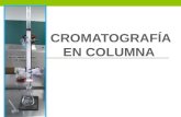 Cromatografía en Columna