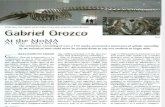 Gabriel Orozco 2