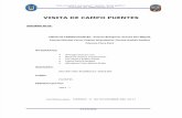 Informe-de-Visita-de-Campo (2)