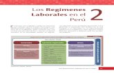 SERVIR - Regimenes Laborales-Reconocen Ley de los Trabajadores Asistenciales 28561-Cap2. PDF