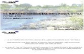 2.- El Impacto Ambiental en la Industria - Fernando Morales.pdf