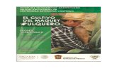 El cultivo del maguey Pulquero.pdf