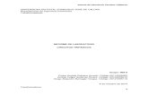 Informe de Laboratorio Circuitos Trifásicos.pdf