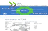 Estudio Internacional Sobre La Enseñanza y El Aprendizaje” (OCDE, 2009)