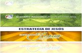 Estrategia de Jesus Los Siete Engranajes Seminario Convencion (1)