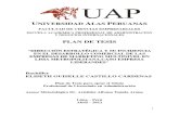 Universidad Alas Peruanas Plsn de Tesis Eli