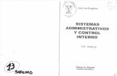 Sistemas Administrativos y Control Interno - Pungitore