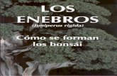 El Bonasi LOS ENEBROS - Como Se Formani