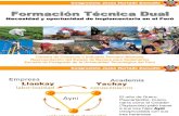 Formación Dual en el Perú: Necesidad y Oportunidad (Agosto 2014)