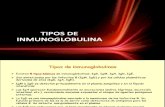 Tipos de Inmunoglobulina