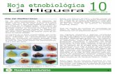 ROCKROSE ECOTURISMO-Hoja Etnobiologica 10-Higuera