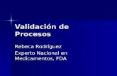 Bpm Validacion Procesos FDA