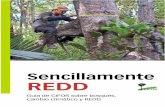 "Sencillamente REDD". Guía de CIFOR sobre bosques, cambio climático y REDD.