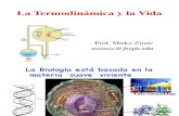 B Termodinamica Bioenergetica Ciencias 2008