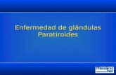 PARATIROIDES 1