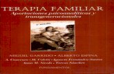 Garrido y Espina, Terapia familiar. Aportaciones psicoanalíticas y transgeneracionales (inc)