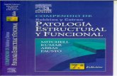 Anatomia Patologica Compendio Robbins 7edición