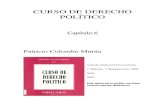 Curso de Derecho Politico - Capitulo 06