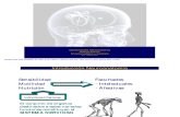 10 Clase - Generalidades Neuroanatómicas