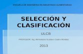 Clase 15 Selección y Clasificación