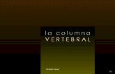 130 Columna Vertebral.[Cr]