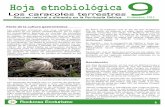 Hoja etnobiologica 9.pdf