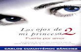 Los Ojos Demi Princesa 2