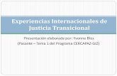 Experiencias Internacionales de Justicia Transicional