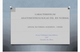 Caracteristicas Anatomofisiologicas Del Rn Normal